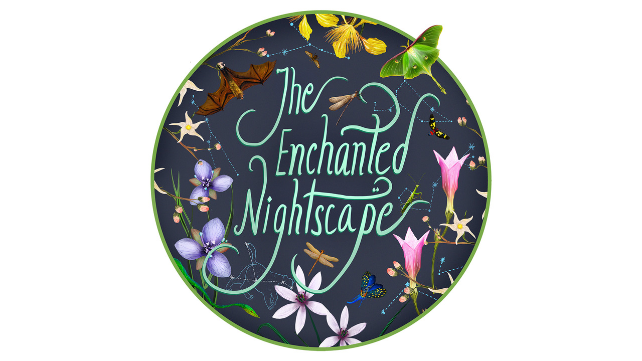 The Enchanted Nightscape - Godrej Design Lab - Conscious Collective 2024
