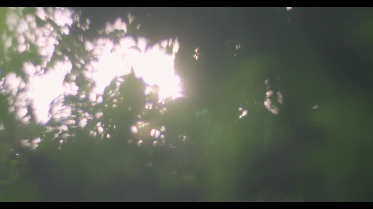 Toybox - Anjali Mangalgiri - Grounded