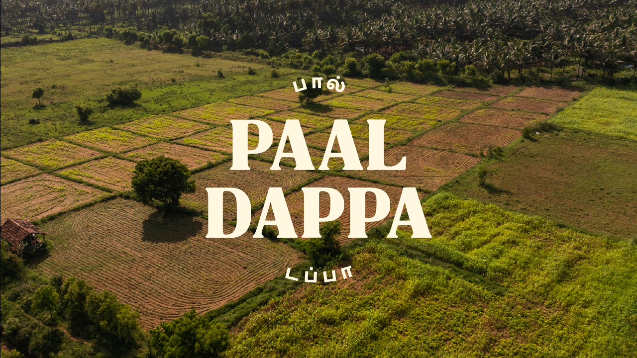 Paal Dappa - Mahatva Dairy Industries - Paal Dappa