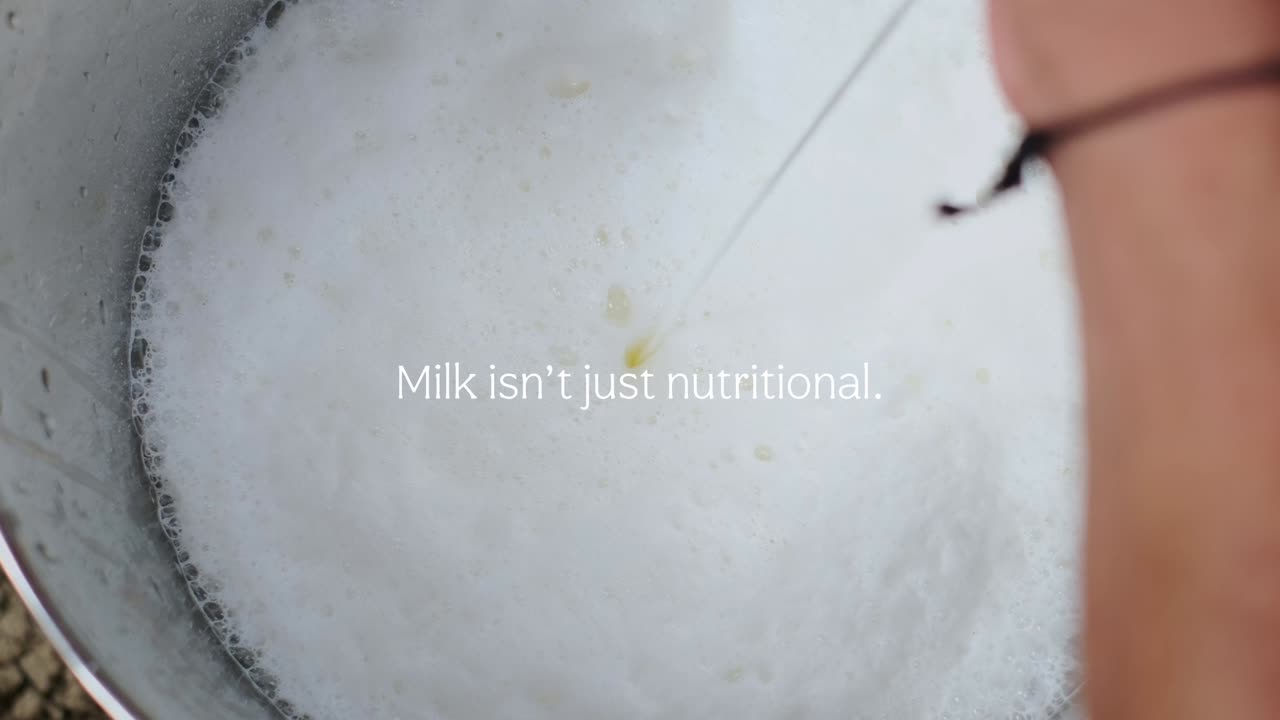 Paal Dappa - Mahatva Dairy Industries - Paal Dappa