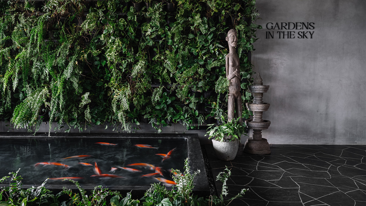 Gardens in the sky - Varghese & Reshma - Grand Oak